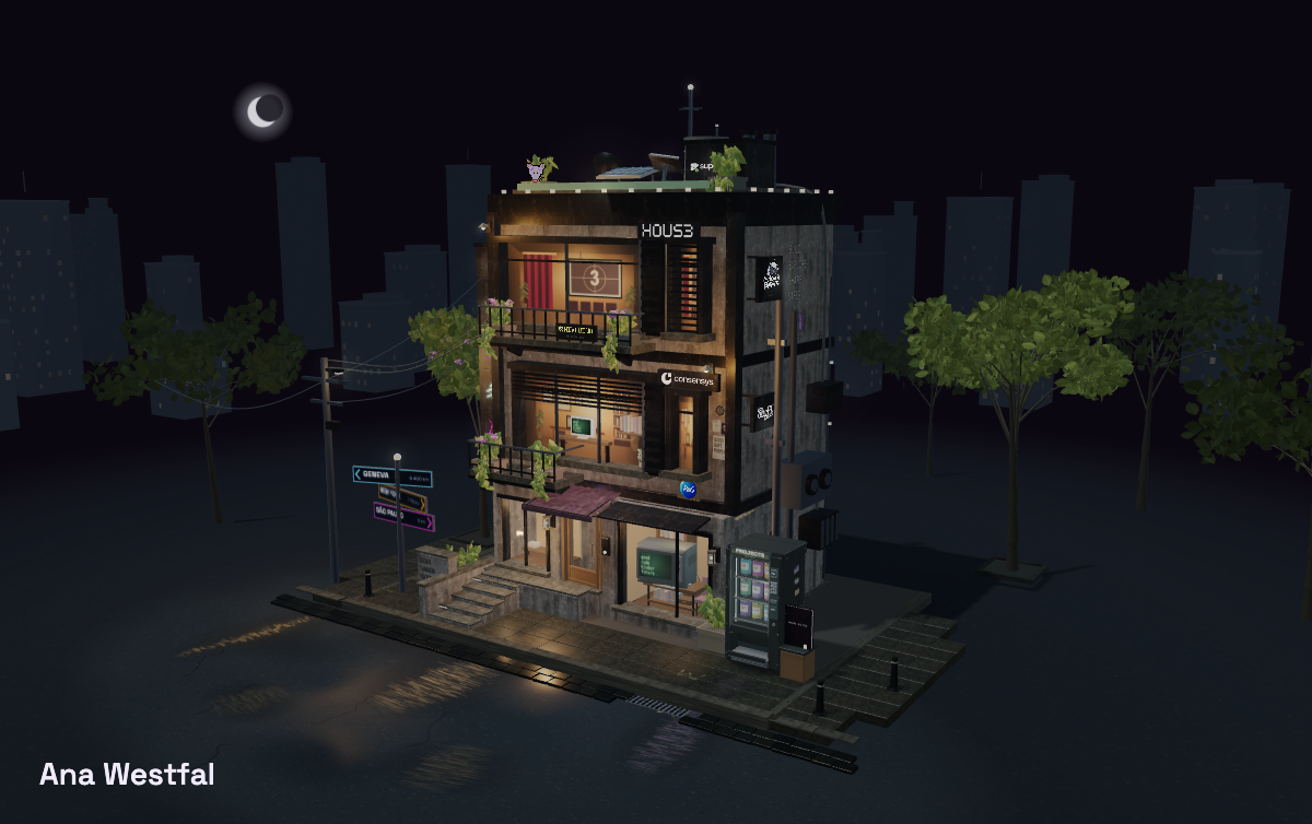 The 3D house